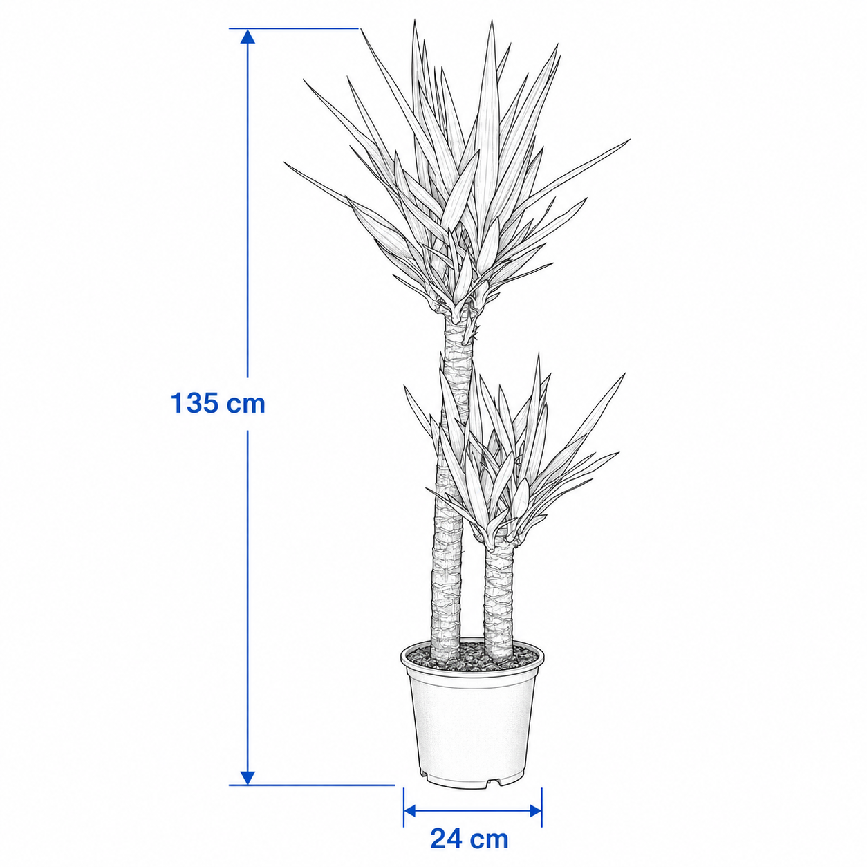 YUCVIK Artificial Two-Stem Yucca Plant - Image 3