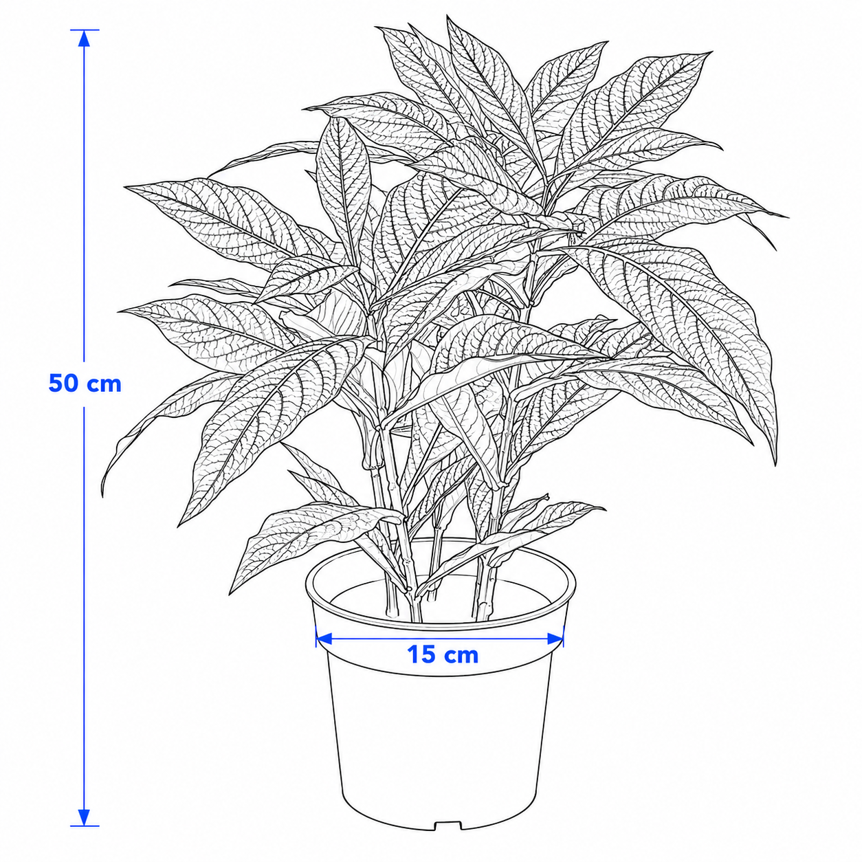 FEJVIK Artificial Persian Shield Plant - Image 4