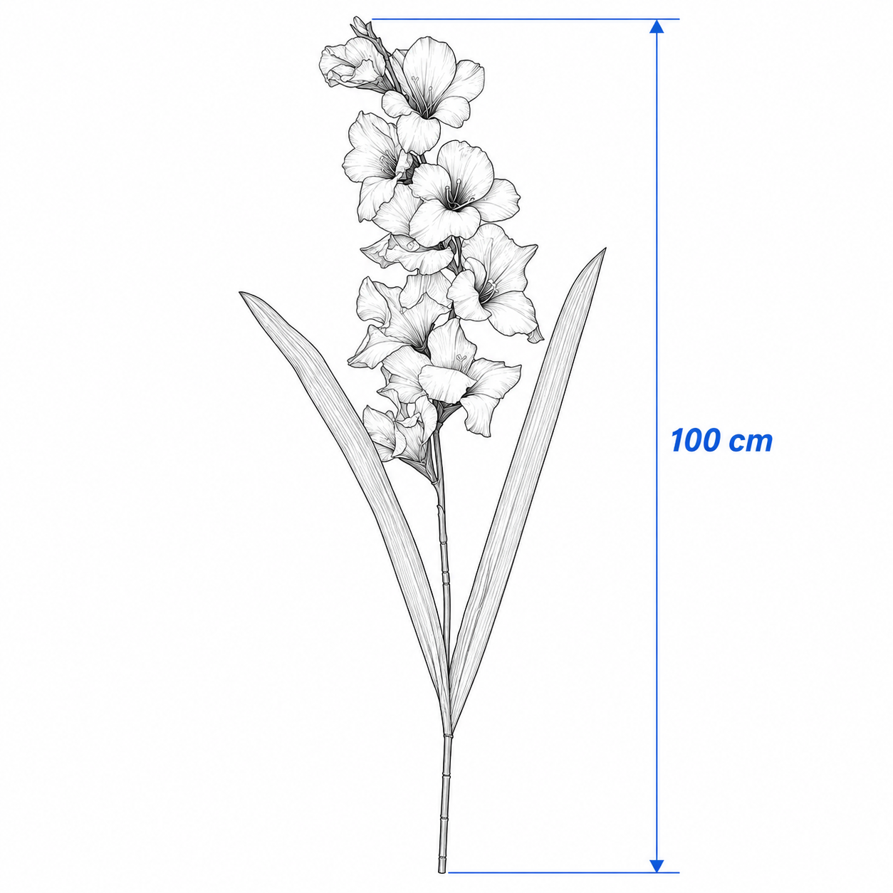 SMYKVIK Gladiolus Flower Stem - Image 4