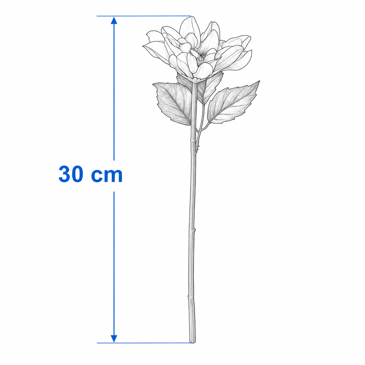 SMYKVIK Dahlia Flower Stem - Image 5