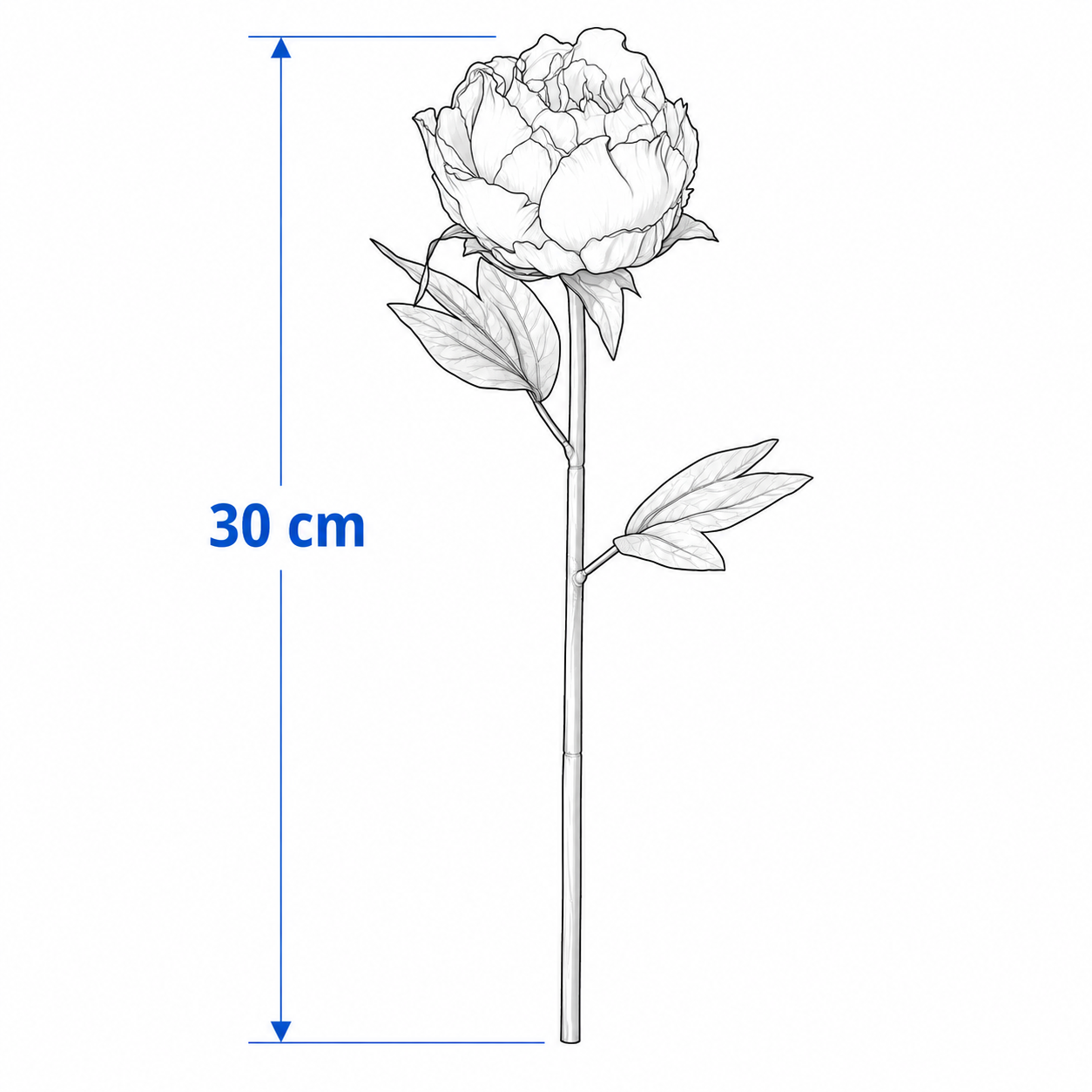 SMYKVIK Peony Flower Stem - Image 3