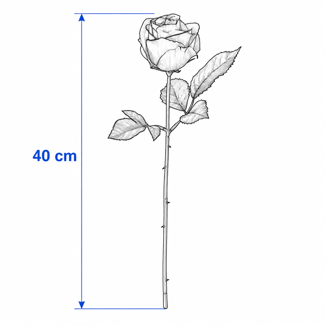 SMYKVIK Rose Flower Stem - Image 3