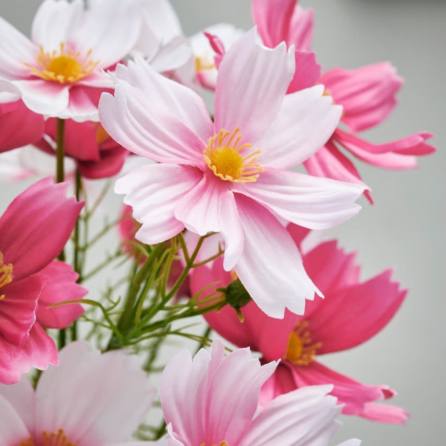 SMYKVIK Cosmos Flower Bouquet - Image 3