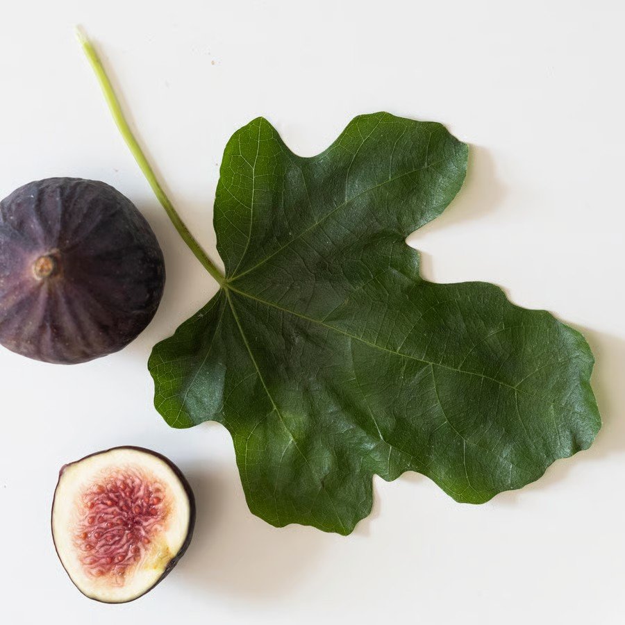 DVARVIK Fig Leaf Scented Glass Candle - Image 3