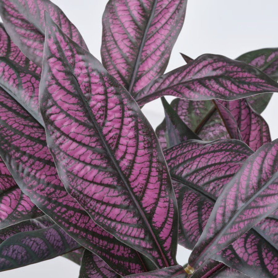 FEJVIK Artificial Persian Shield Plant - Image 3