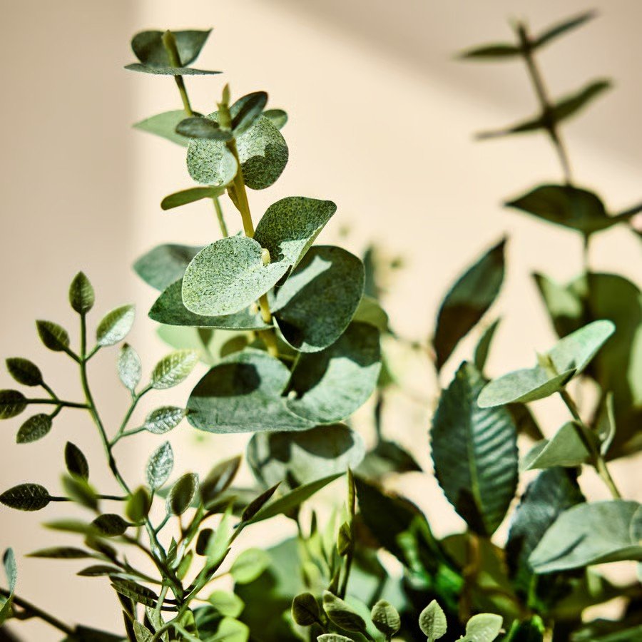 SMYKVIK Decorative Eucalyptus Bouquet - Image 3