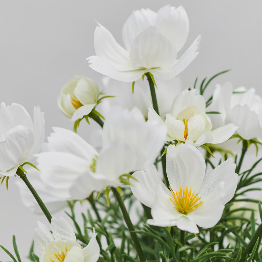 FEJVIK Artificial Cosmos Plant - Image 2