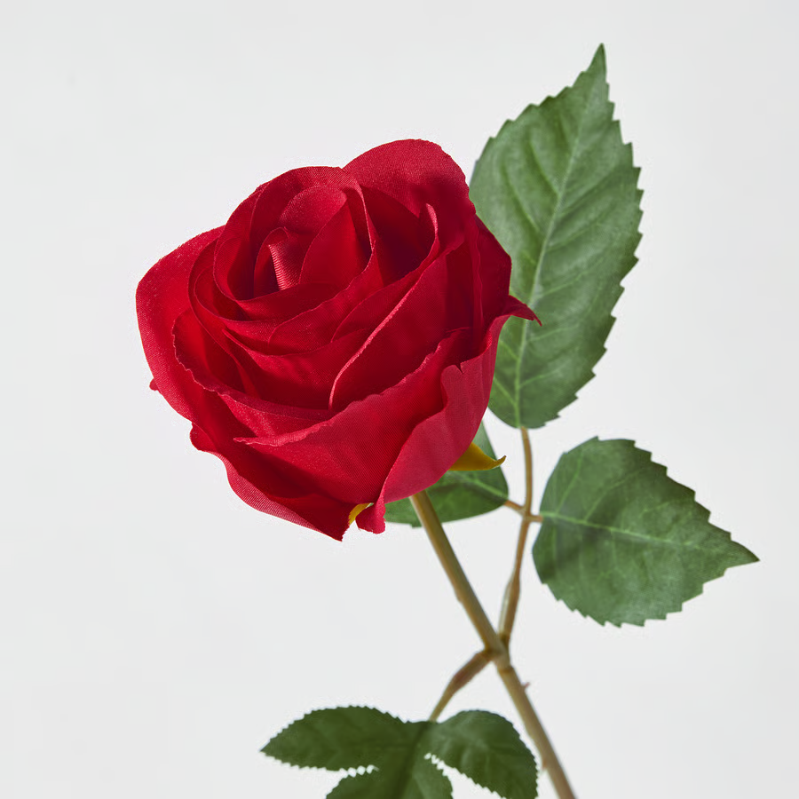 SMYKVIK Rose Flower Stem - Image 2